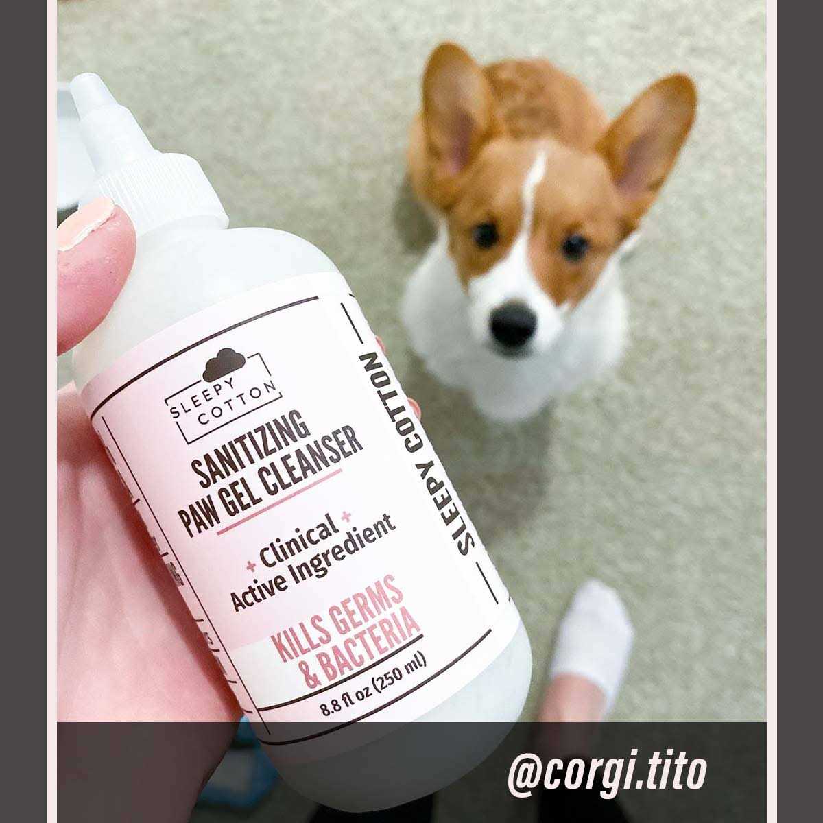 Dog Paw Gel Cleanser X554