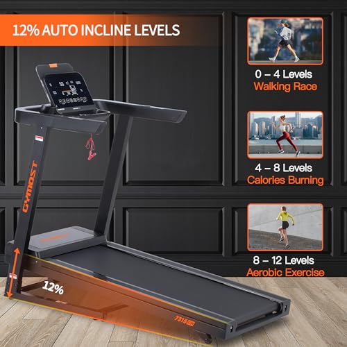 Folding Incline Treadmill with LCD Display J541748