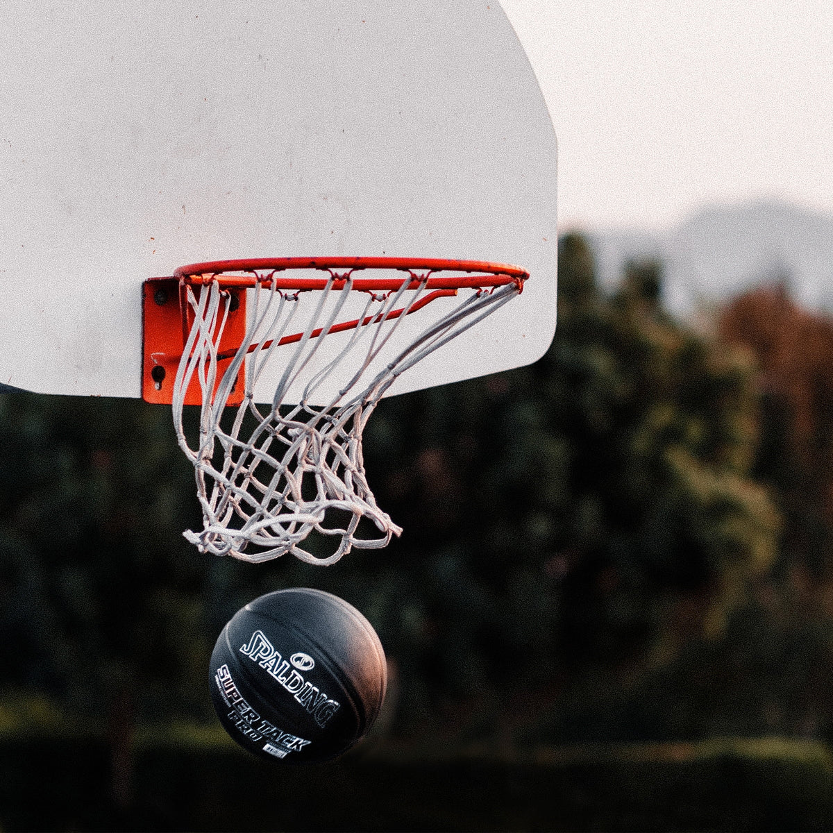 Indoor and Outdoor Basketball, 29.5 In. W662