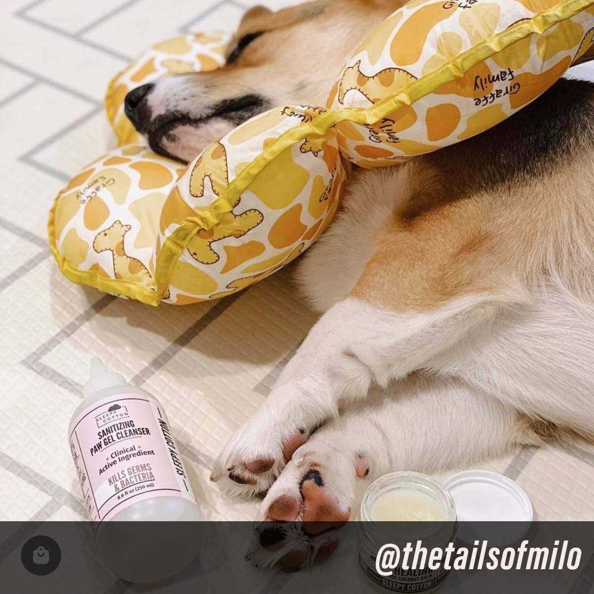 Dog Paw Gel Cleanser X554