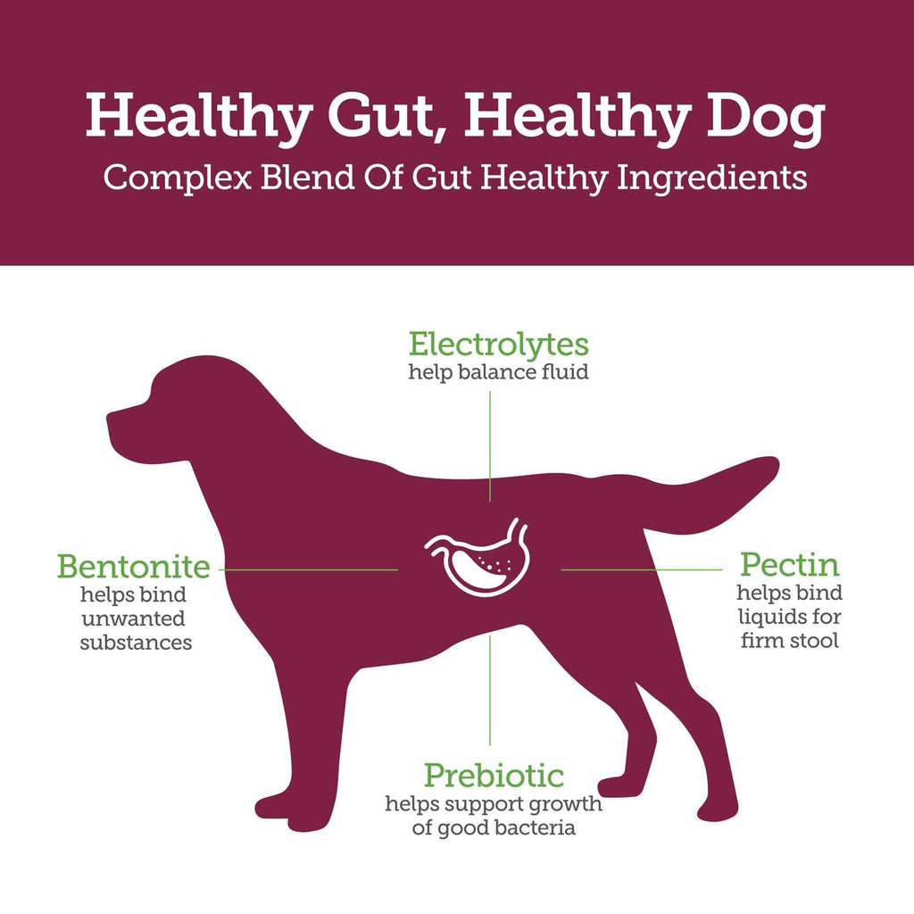 Chewables for Dogs N937830
