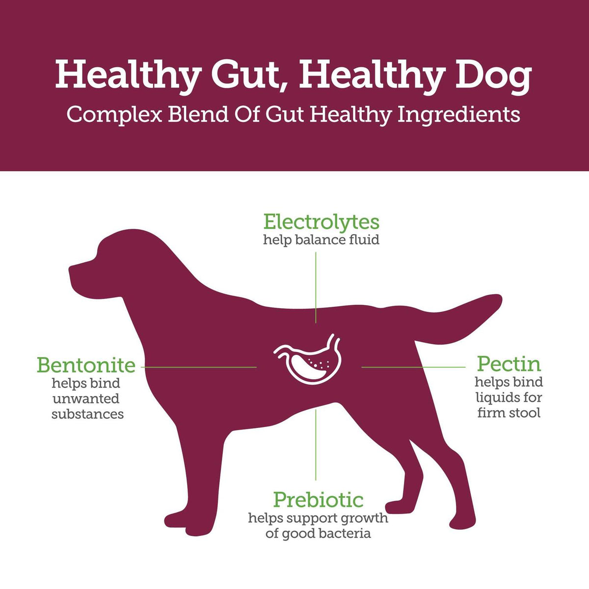 Chewables for Dogs N937830