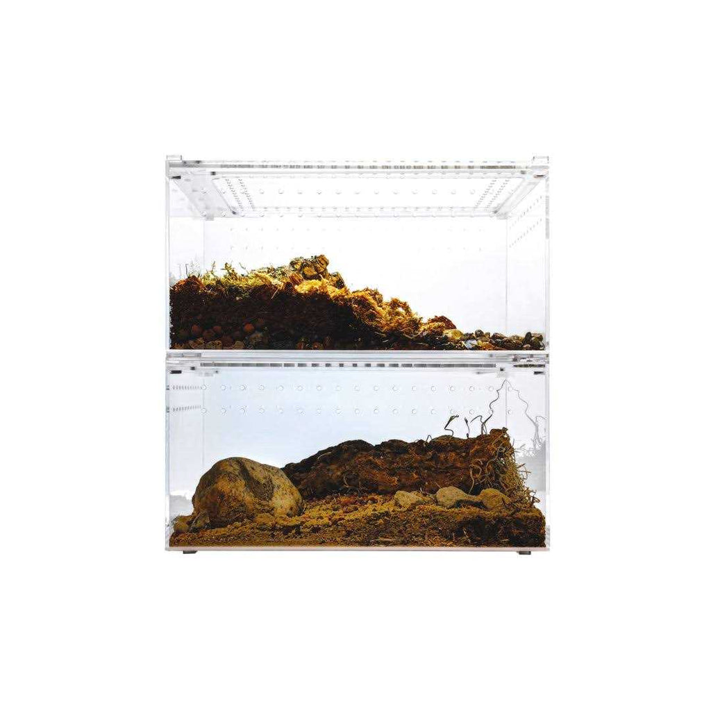 Acrylic Terrarium J831021