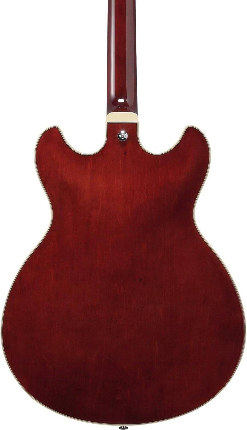 Transparent Indigo Fade Semi-Hollow Electric Guitar D438146