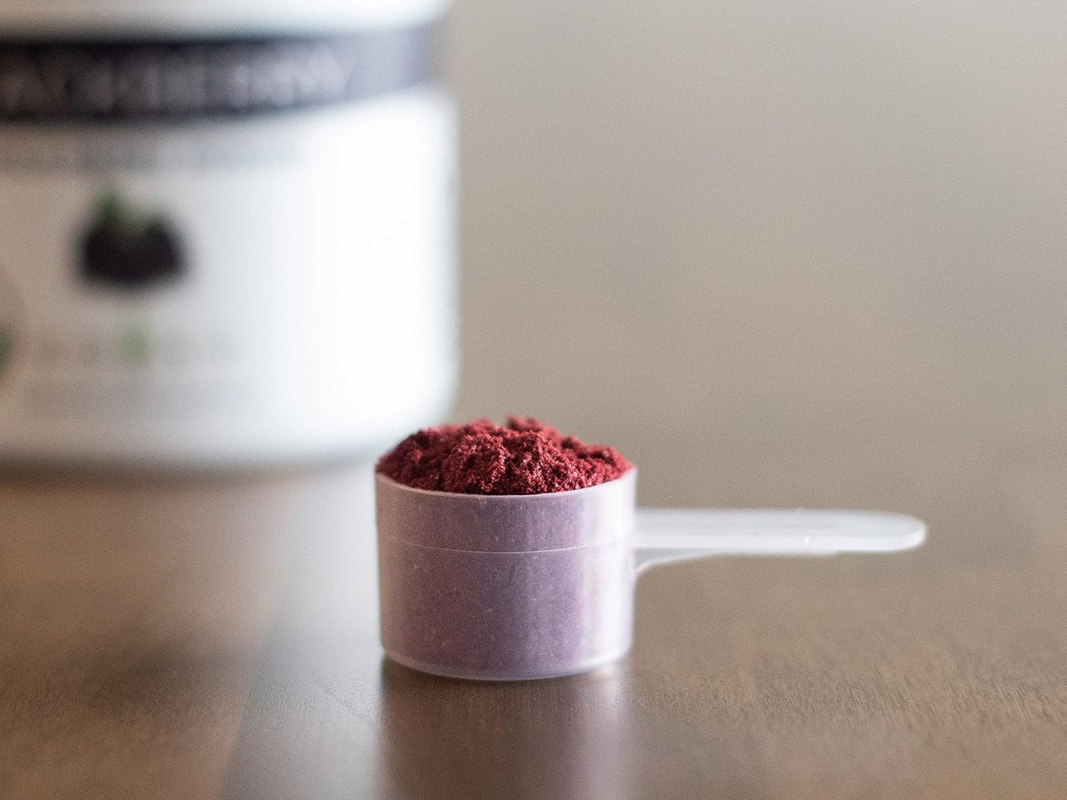 Organic Blackberry Powder Y245529
