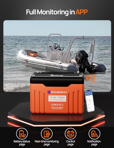 12V 100AH LiFePO4 Lithium Battery with Bluetooth P6801