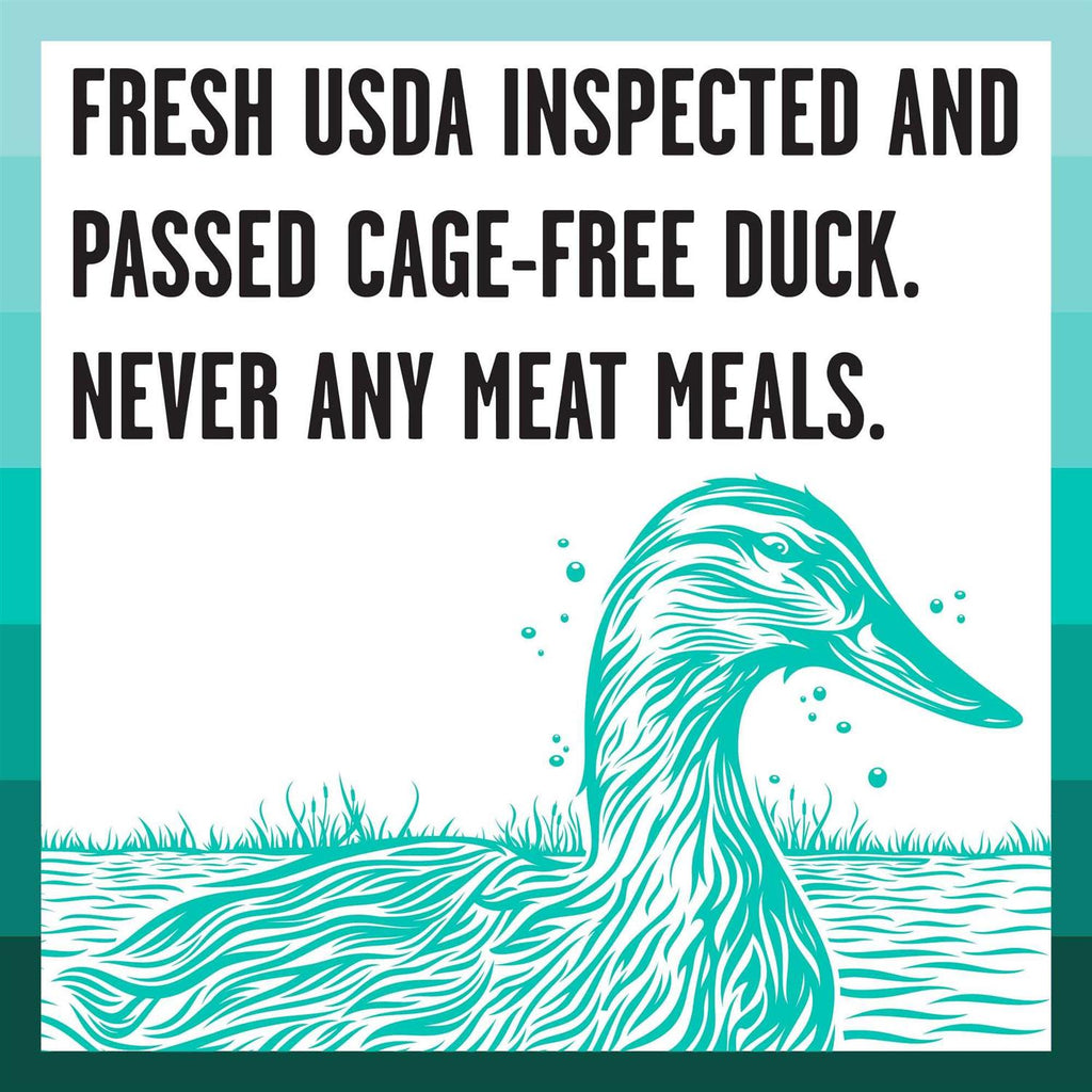 Duck Recipe Dry Dog Food S90249