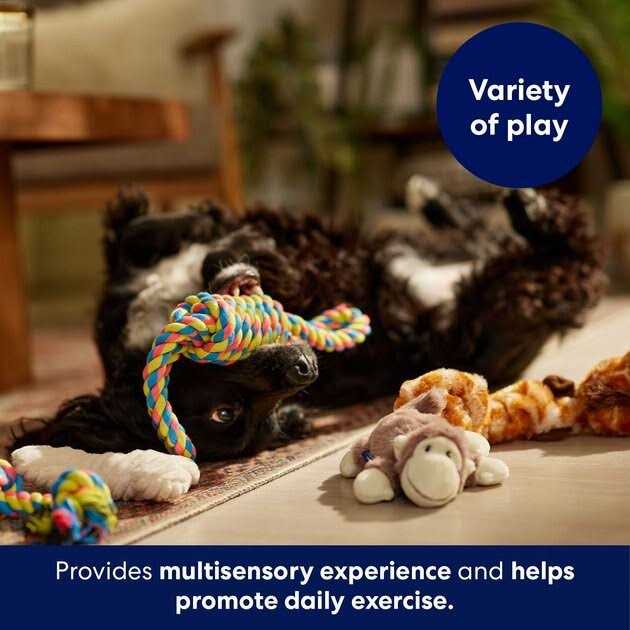 Plush & Rope Dog Toy Variety Pack I1898
