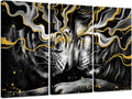 Black and Gold Framed Canvas Lion Wall Art N518901