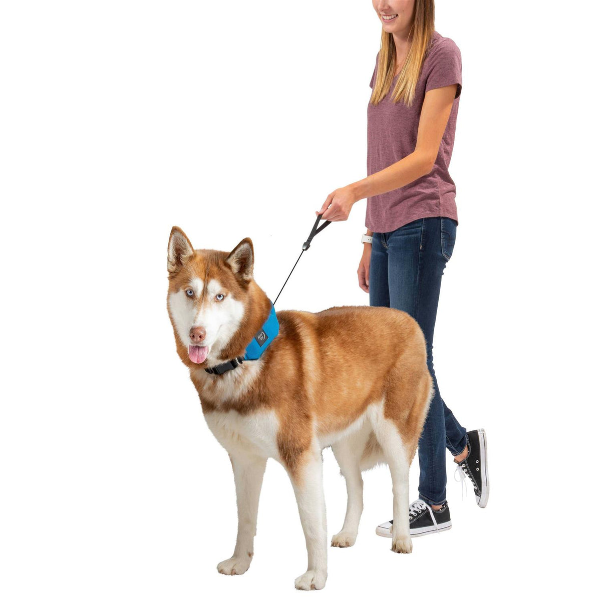 All-In-One Collar + Leash P885735