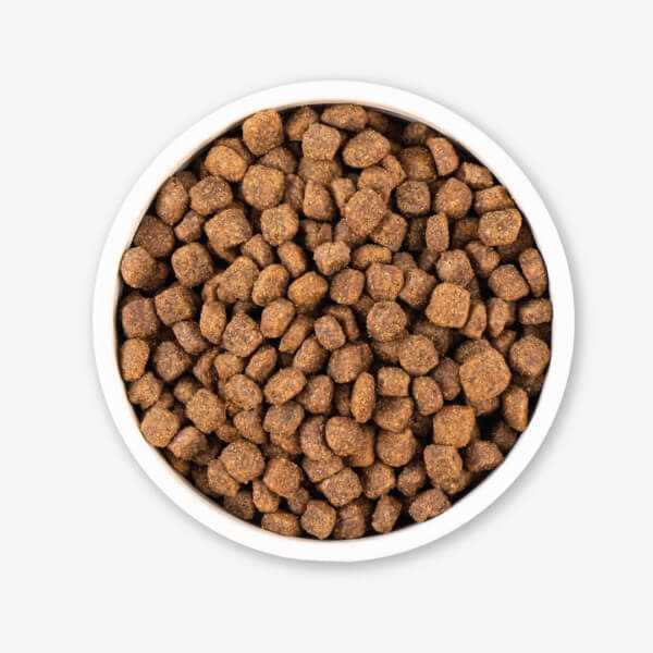 Grain Free Dry Dog Food Z321715