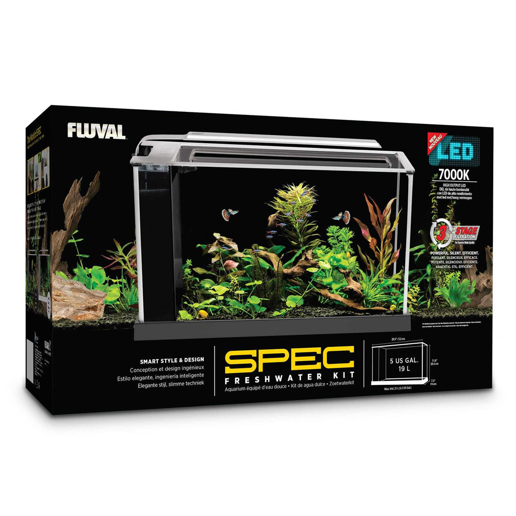 Aquarium P919
