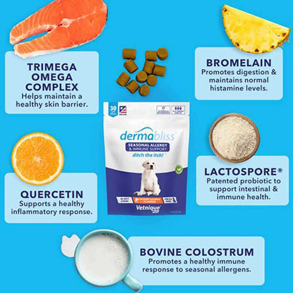 Allergy & Immune Soft Chews for Dogs A524