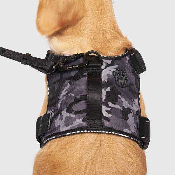 Complete Control Dog Harness X668