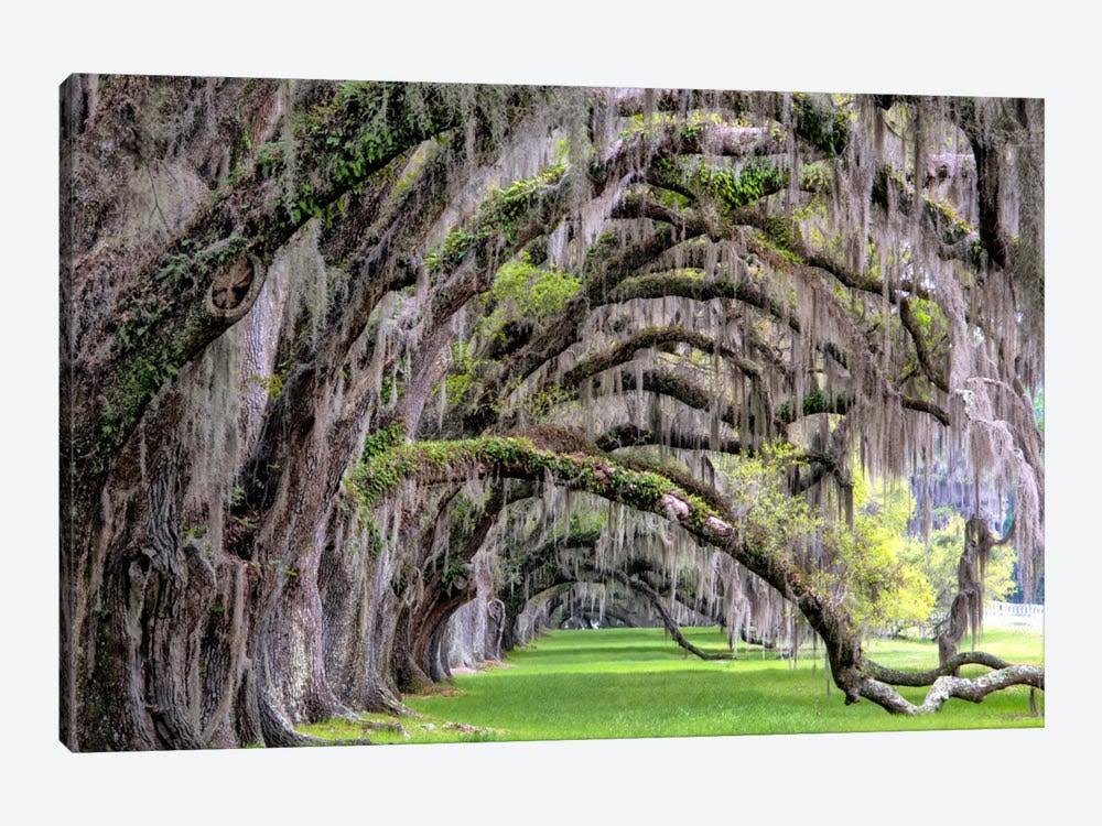 Canvas Artwork Print H395