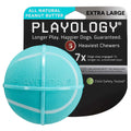 Squeaky Chew Ball Dog Toy K127725