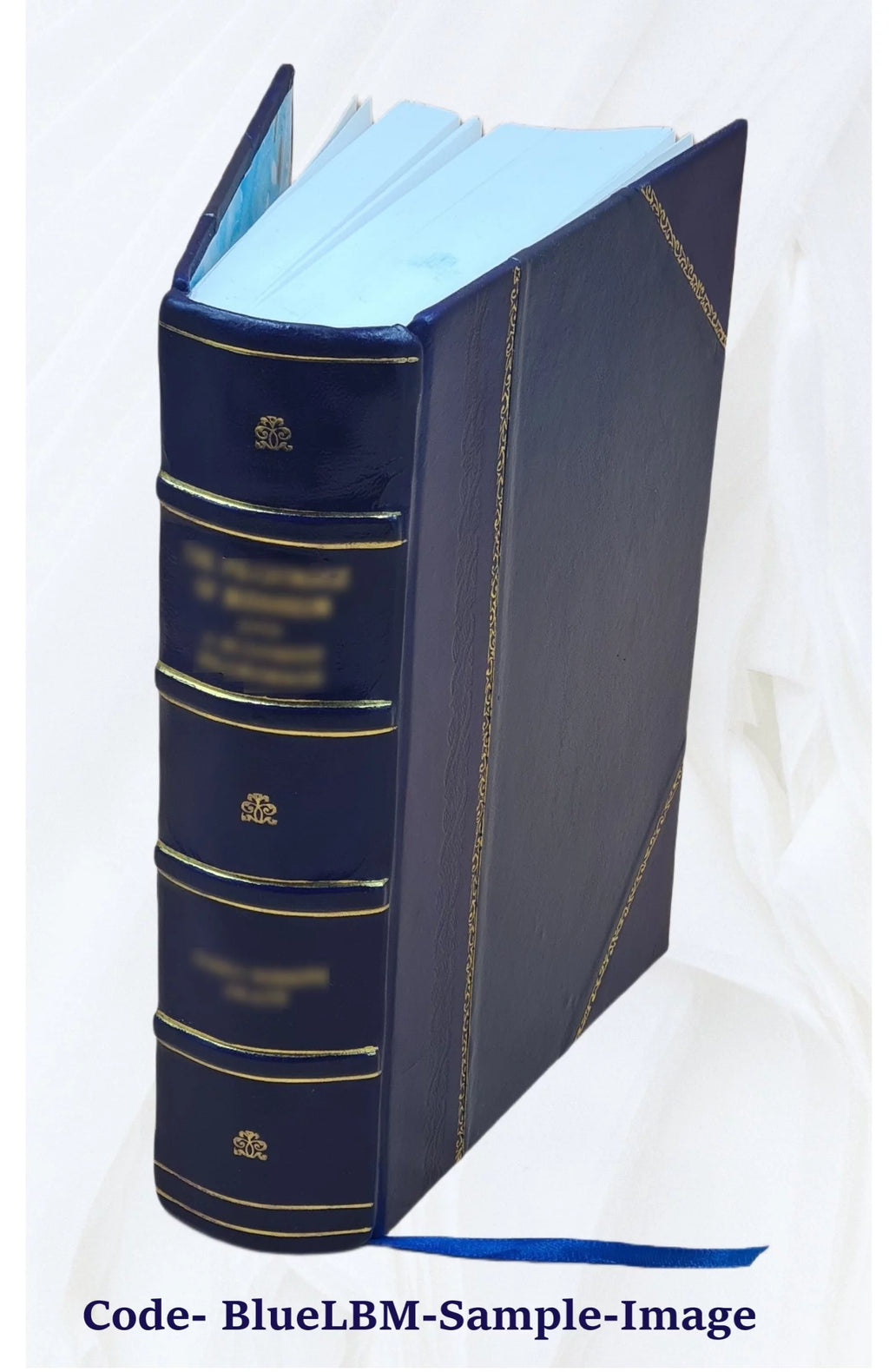 Leather Bound Furniture and furnishings F44348