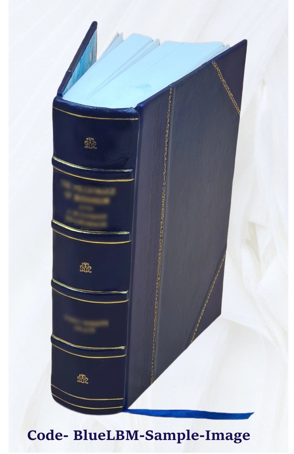 Leather Bound Furniture and furnishings F44348
