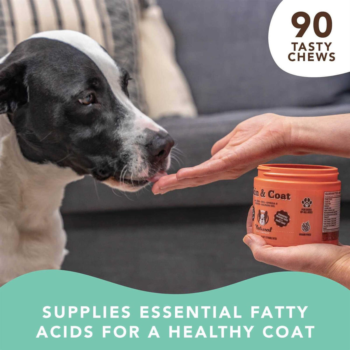 Dog Skin and Coat Supplement K848
