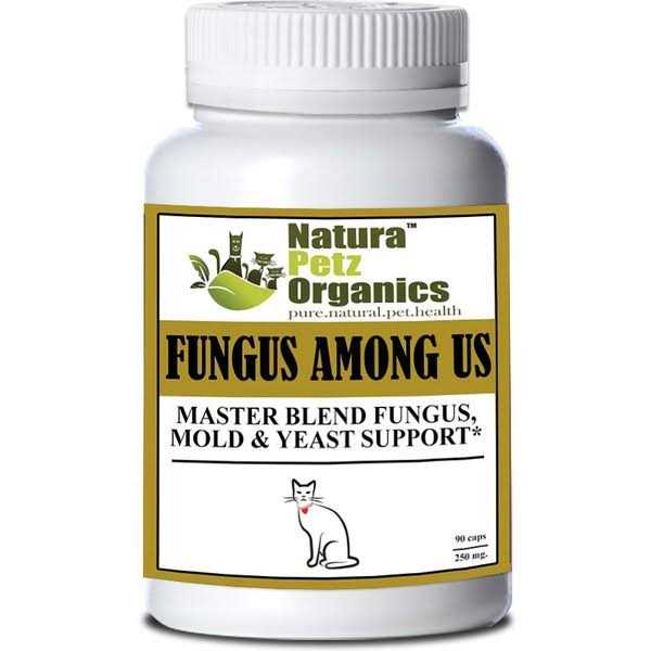 Capsules For Dogs And Cats T7625