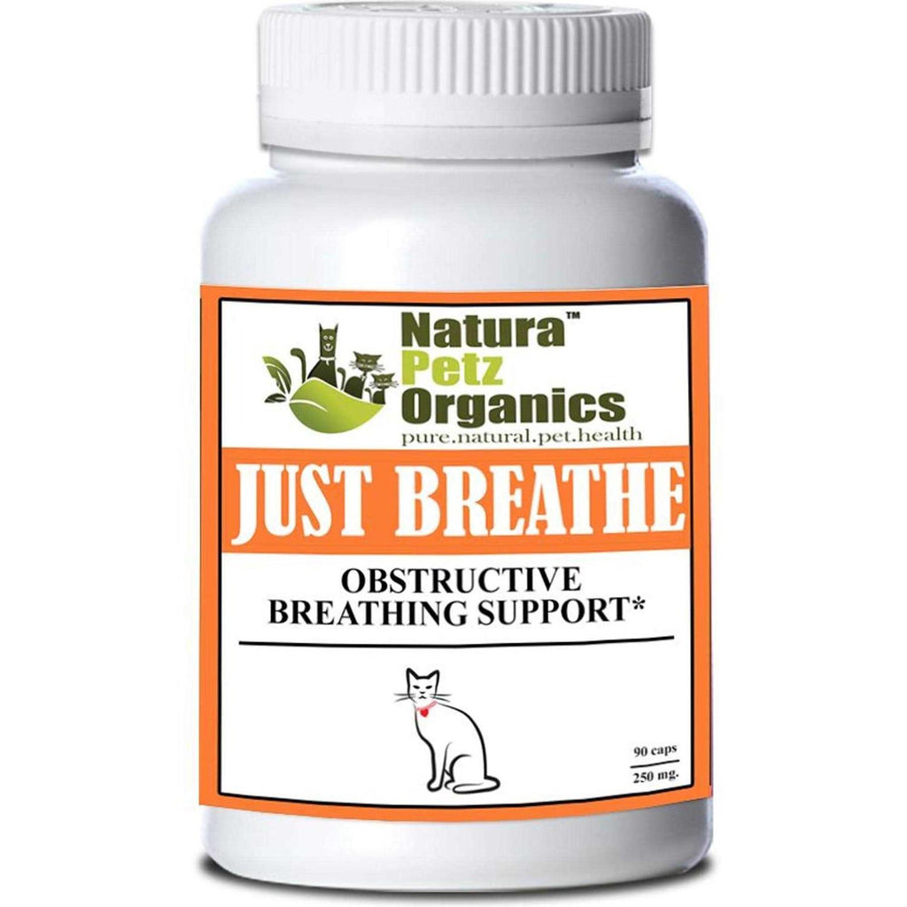 Capsules For Dogs And Cats T7625
