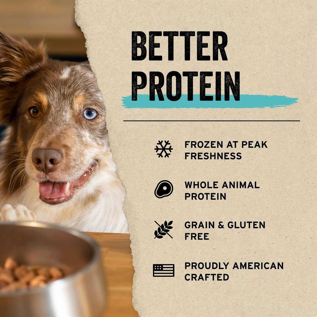 Freeze Dried Minnows Dog Treats F499318