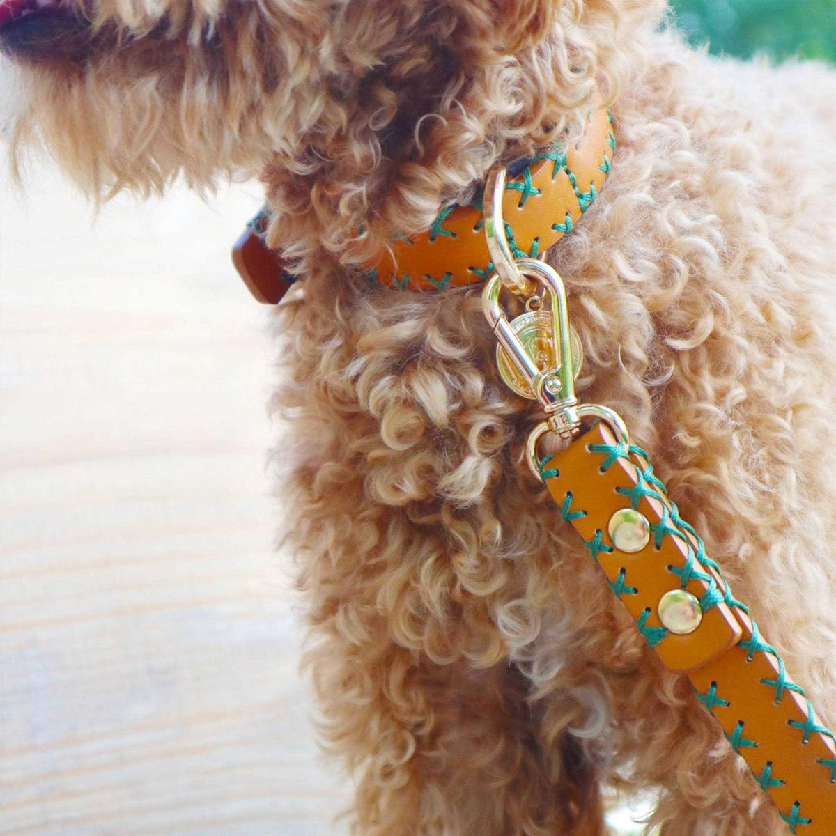 Handcrafted Standard Dog Collar G461