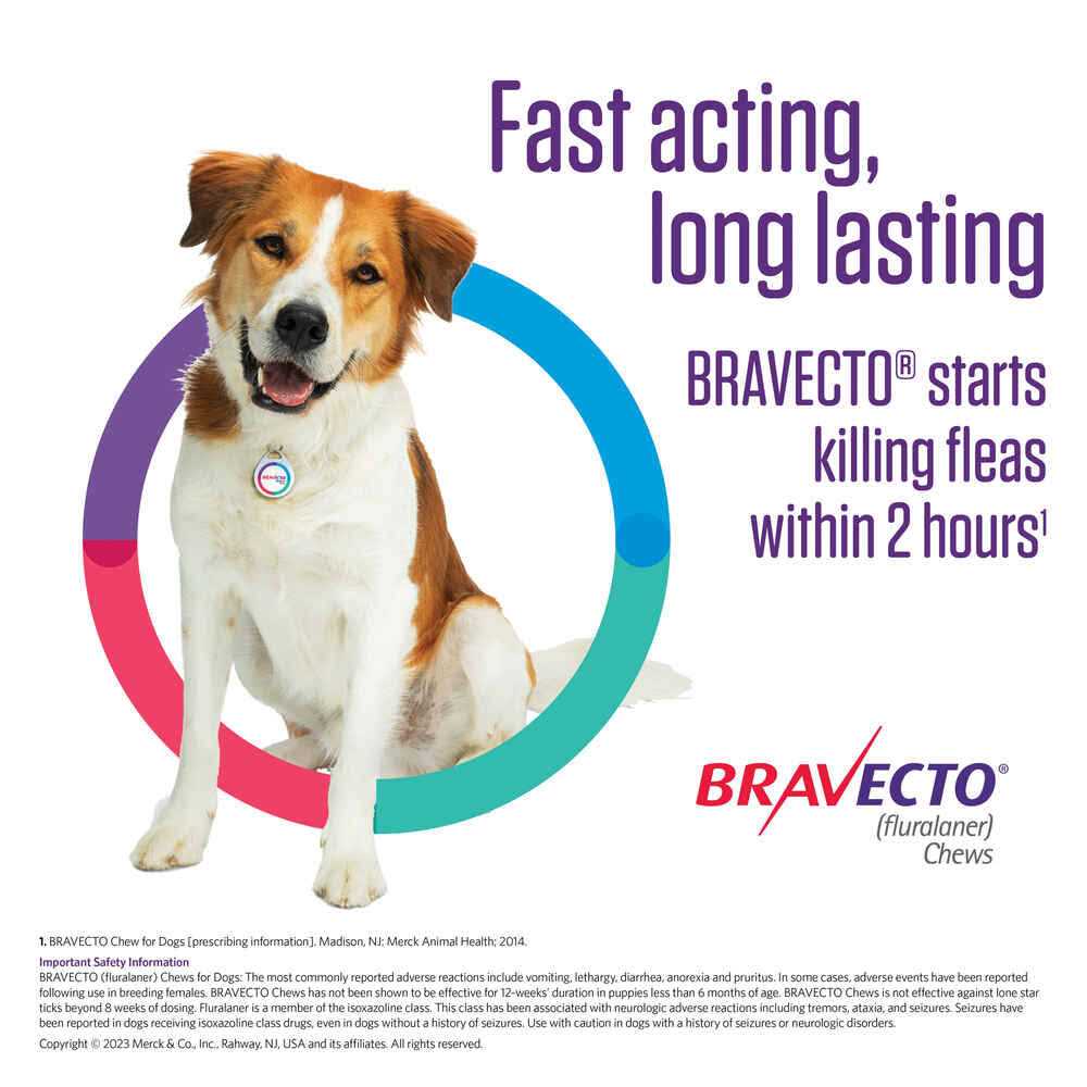 Bravecto Chews for Dogs W6634