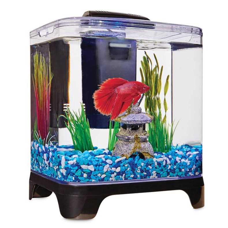 Betta Desktop Kit N202203