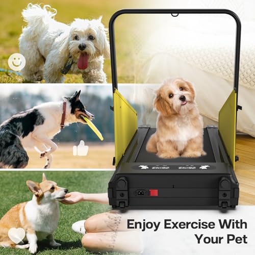Dog Treadmill with LCD Display P5533