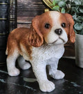 Cavalier King Charles Spaniel Dog Statue 6.25" Long L944694