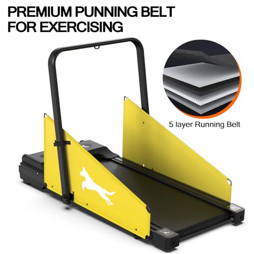 Dog Treadmill with LCD Display P5533