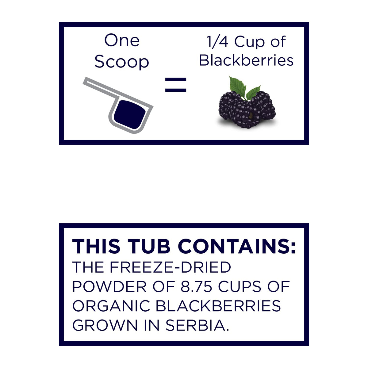 Organic Blackberry Powder Y245529