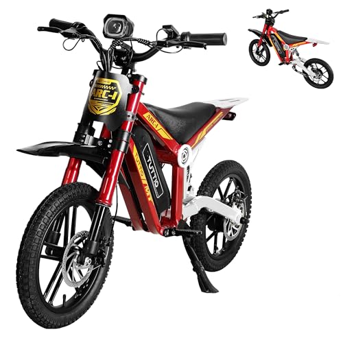 36V 750W Electric Dirt Bike with 16" Pneumatic Tires Q75882