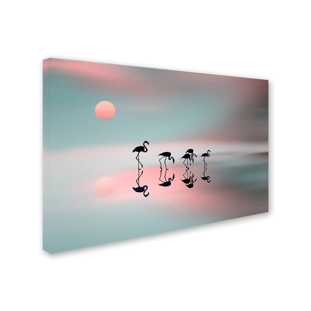 Flamingos Canvas Art N5745