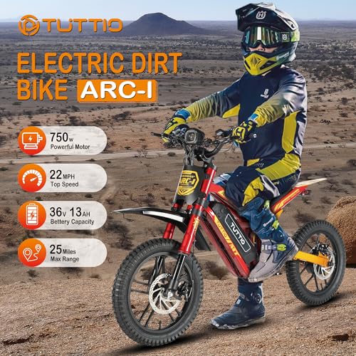 36V 750W Electric Dirt Bike with 16" Pneumatic Tires Q75882