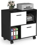 2 Drawer Wood File Cabinet with Wheels D346825