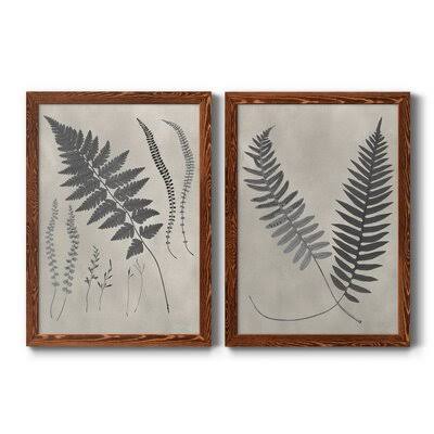 Vintage Fern Study Framed Print I499