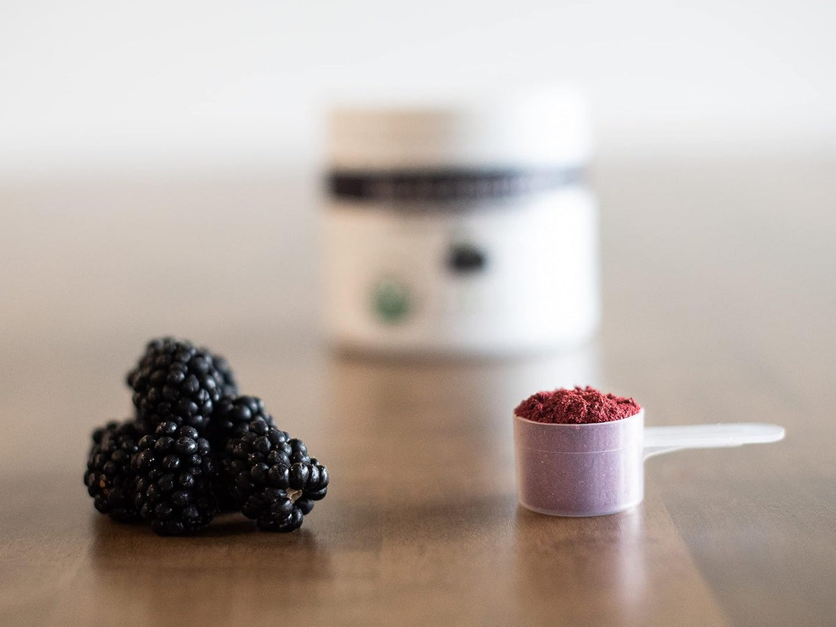 Organic Blackberry Powder Y245529