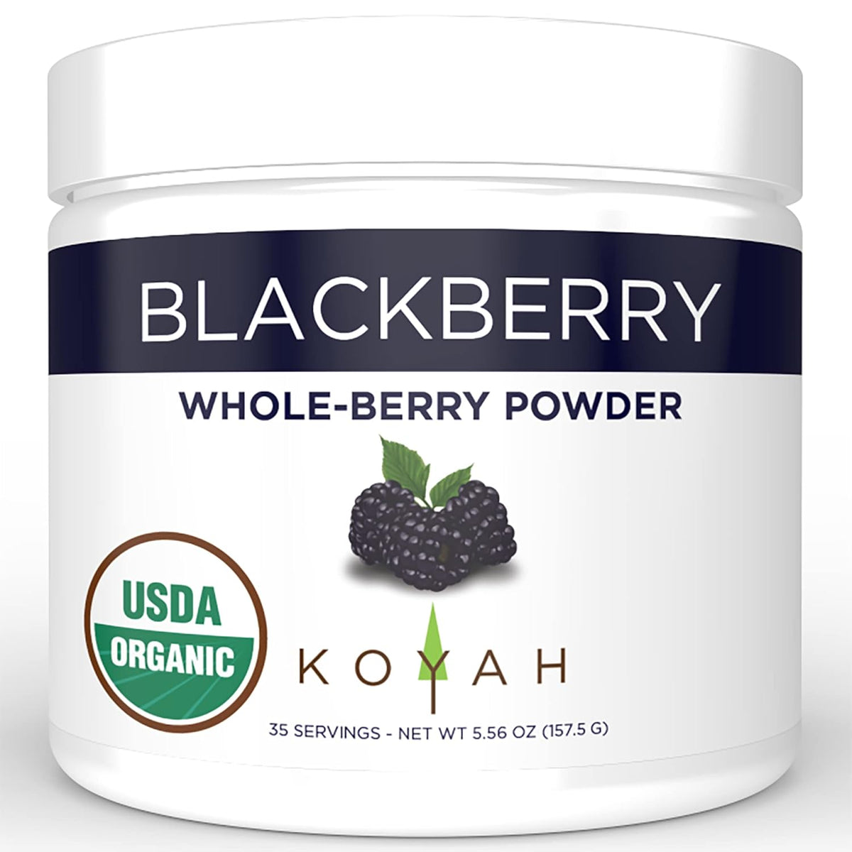 Organic Blackberry Powder Y245529