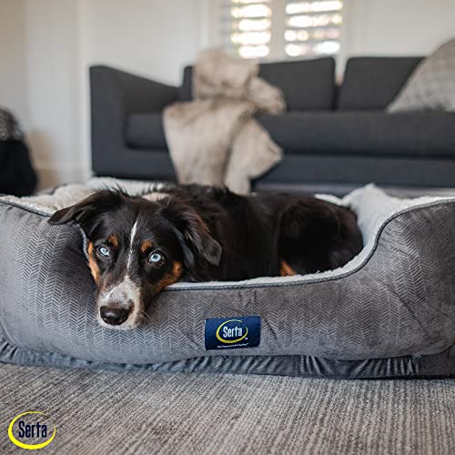 Slate Gray X-Large Orthopedic Dog Bed E890