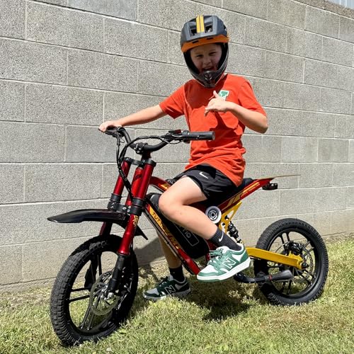 36V 750W Electric Dirt Bike with 16" Pneumatic Tires Q75882