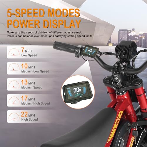 36V 750W Electric Dirt Bike with 16" Pneumatic Tires Q75882
