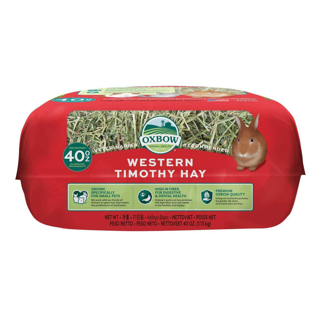 Western Timothy Hay Q36196