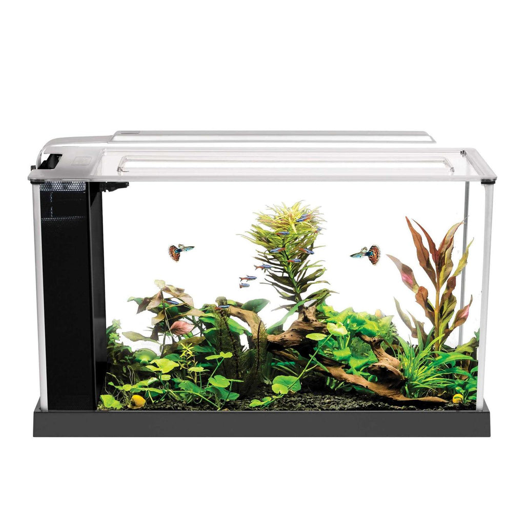 Aquarium P919