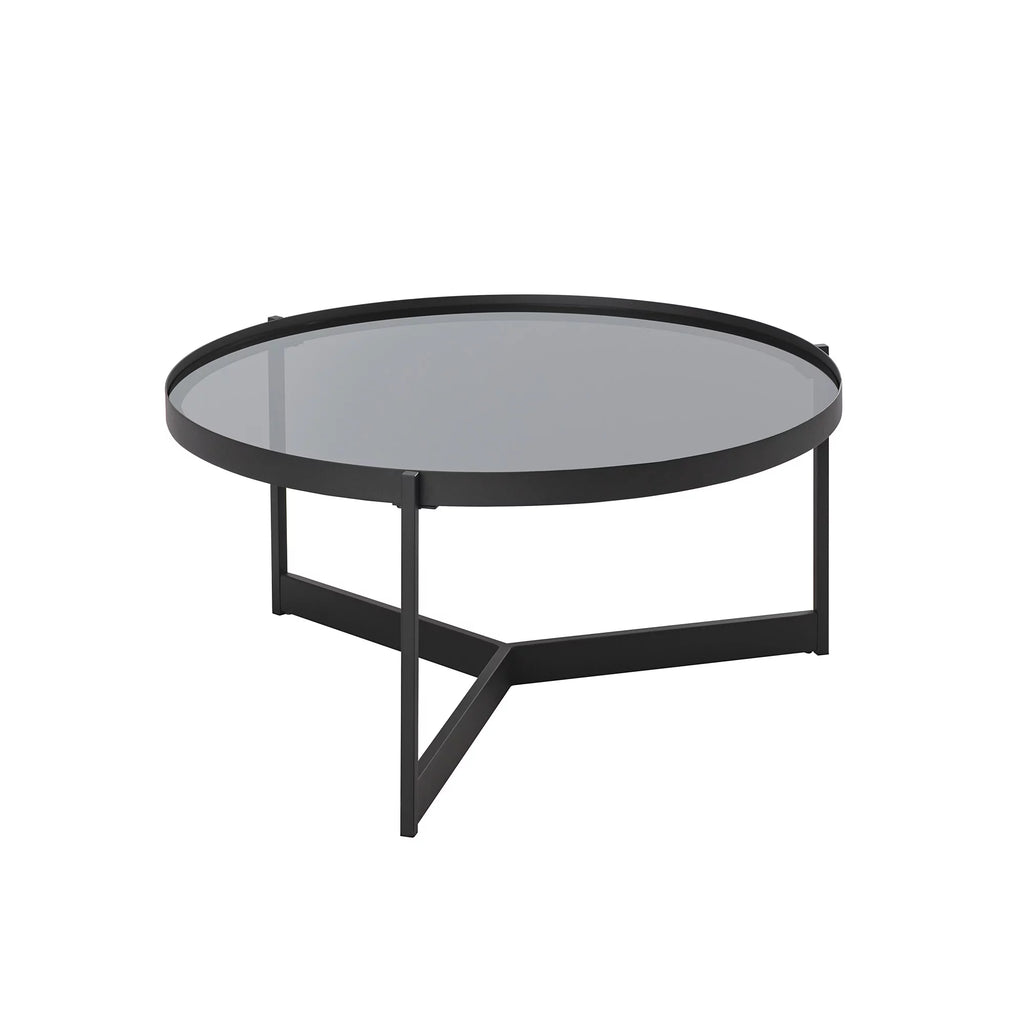 Metal and Glass Coffee Table M129