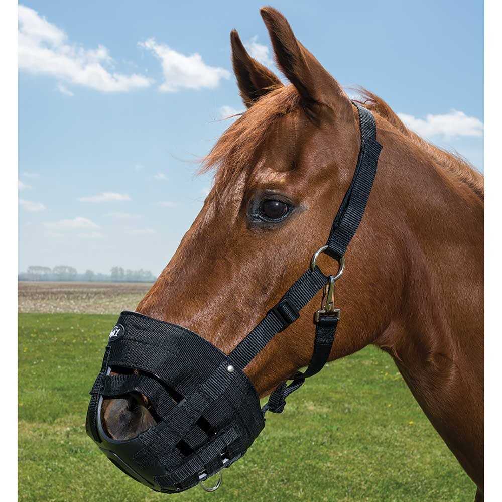 Poly Grazing Muzzle G510351