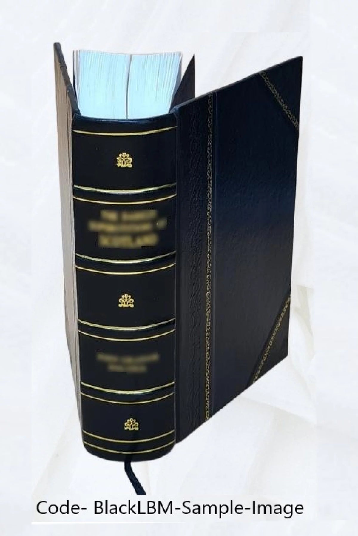 Leather Bound Furniture and furnishings F44348