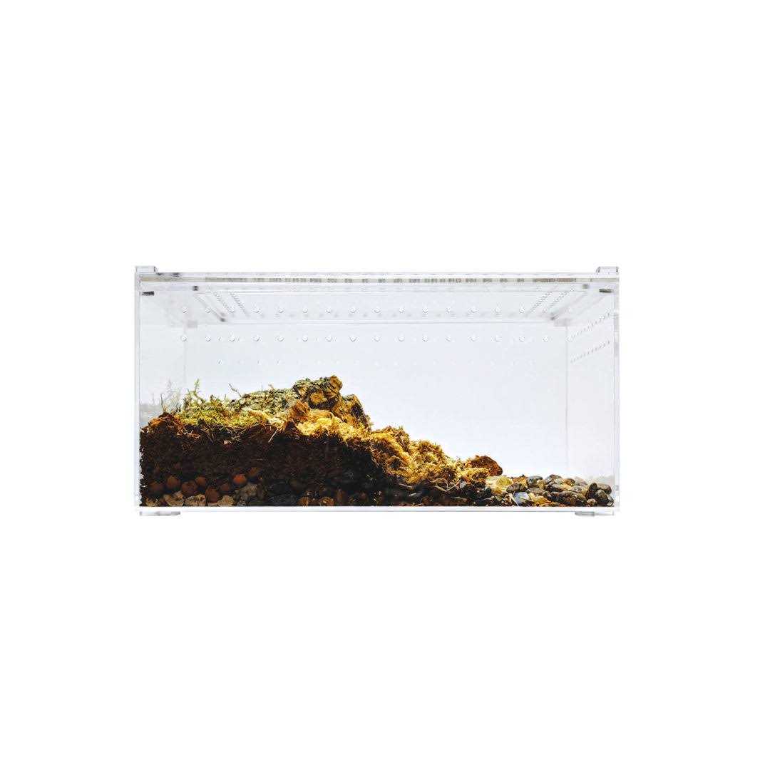 Acrylic Terrarium J831021