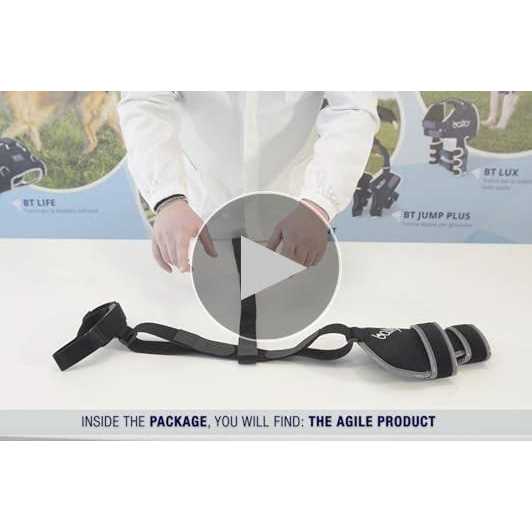 Knee Support for Dogs F902